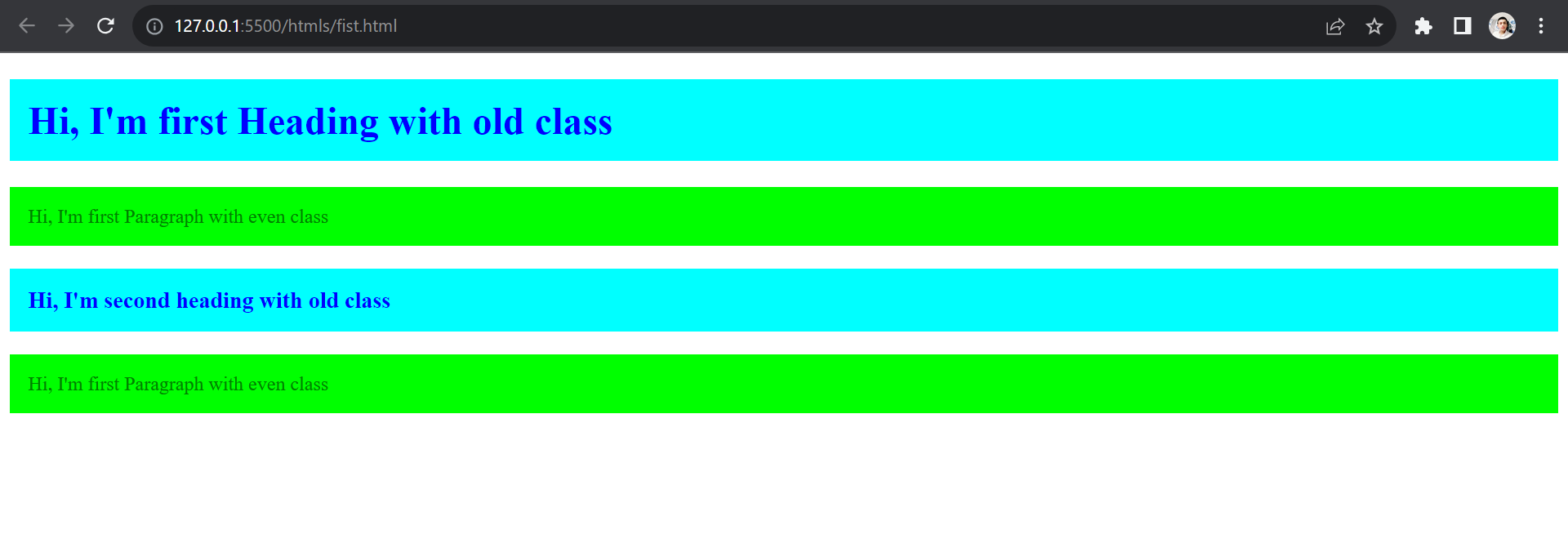 CSS First Class Selector 